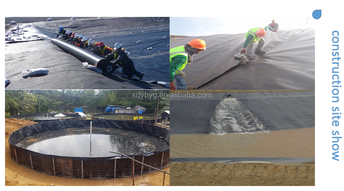 0.75mm HDPE PVC Geomembrane Circular Tanks for Fish Farming in Office Building Design