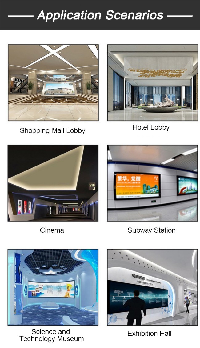 Commercial Intelligent Indoor Transparantcy OLED Advertising Display Player Vertical for Theaters Museum