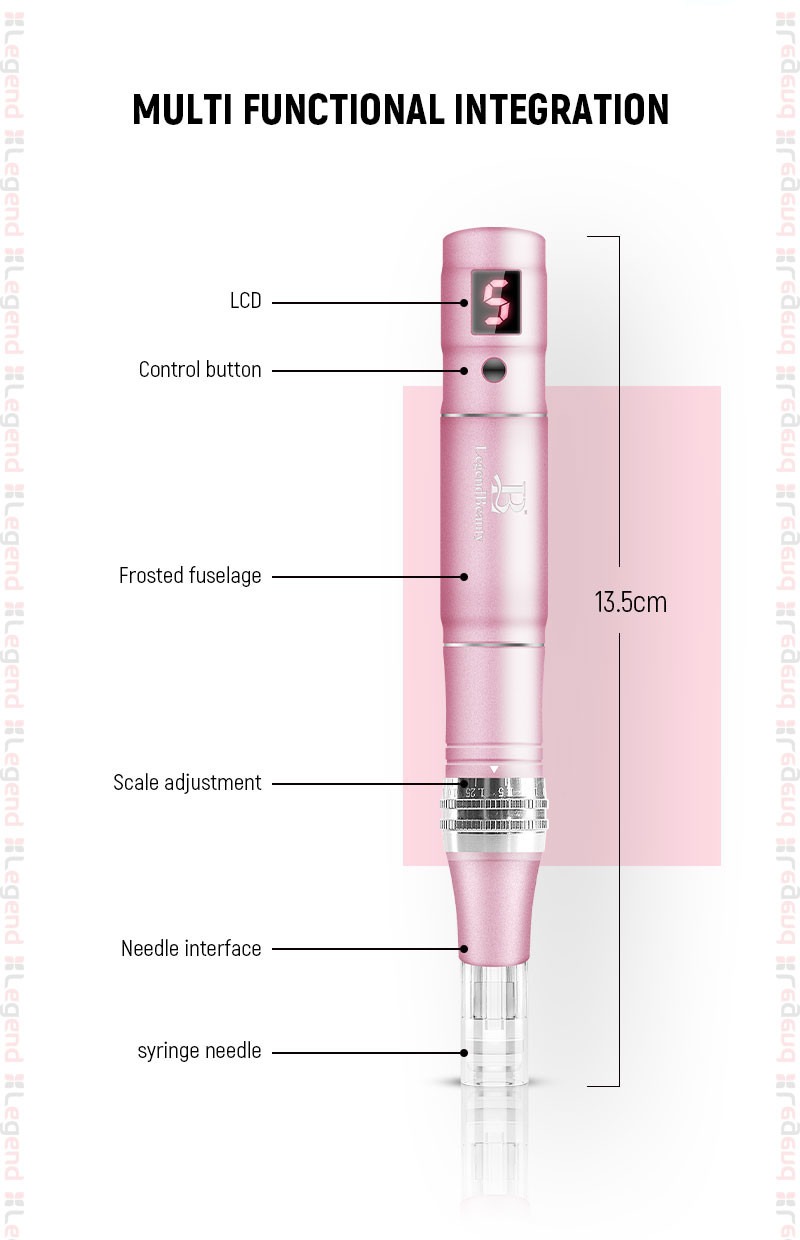 Newest Hot Sale Professional Skin Auto MD Electroporation Needle System Microneedling Derma Pen