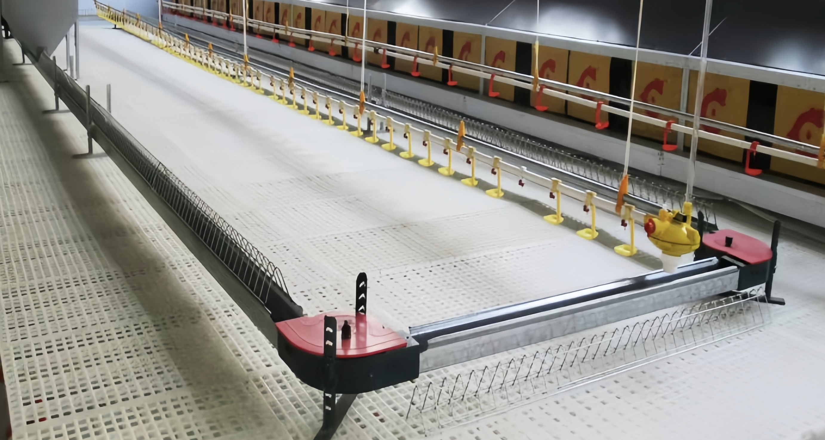 Easy Clean Plastic Slatted Floor Poultry House Customized Color