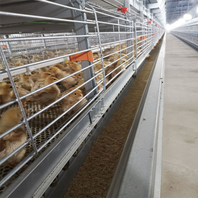 Baby Chicks Battery Cage Poultry Drinking System