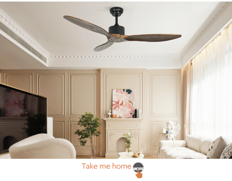 ceiling fan
