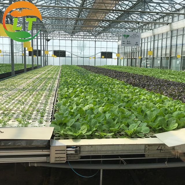 Pressure-Resistant Glass House for Large-Scale Growth of Vegetable Fruits and Flowers