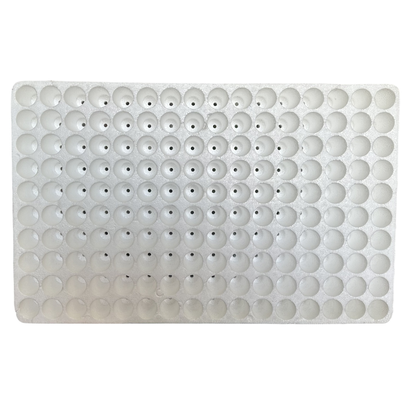 Floating Foam Seedling Tray EPS Material Customized Seedling Tray For Various Plants