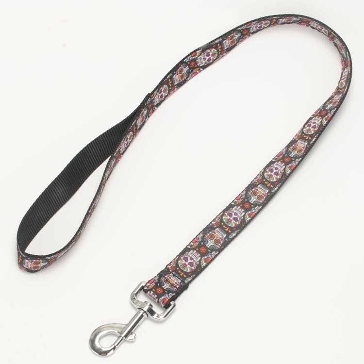  leash for cats amazon