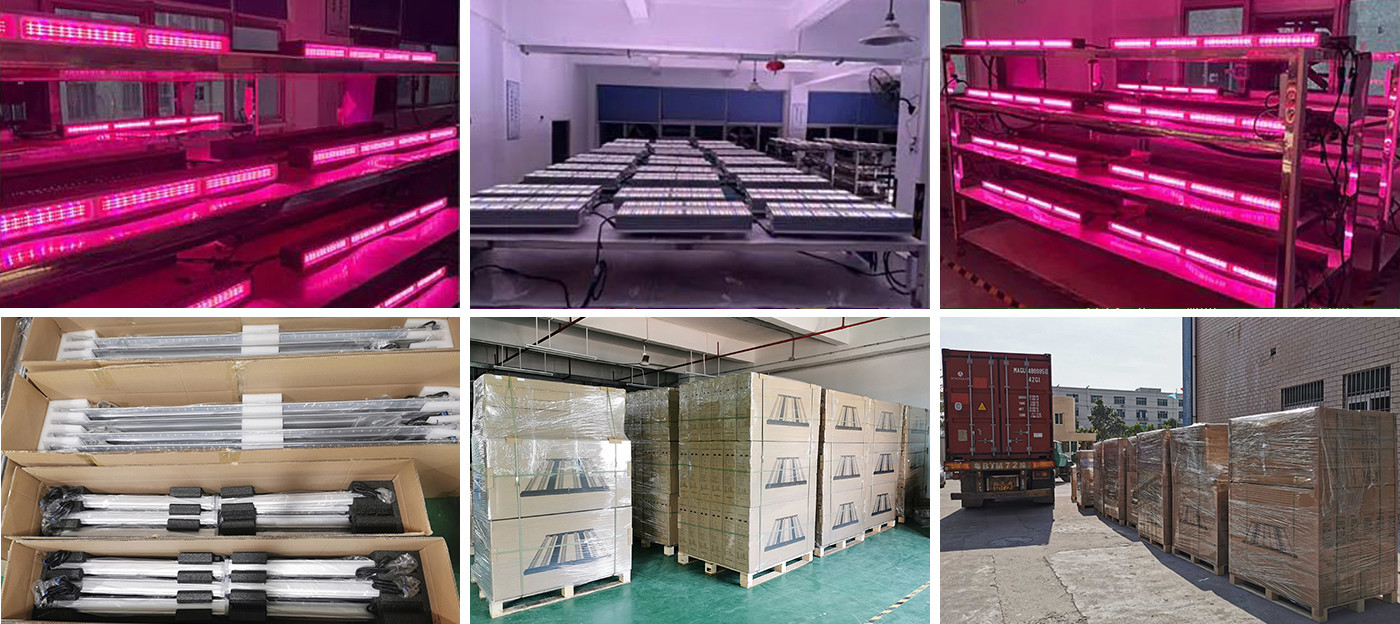 High Efficiency 400w Led Grow Lights For Weed Growing 600W HPS Replace Dimmable Timing Full Spectrum Daisy Chain
