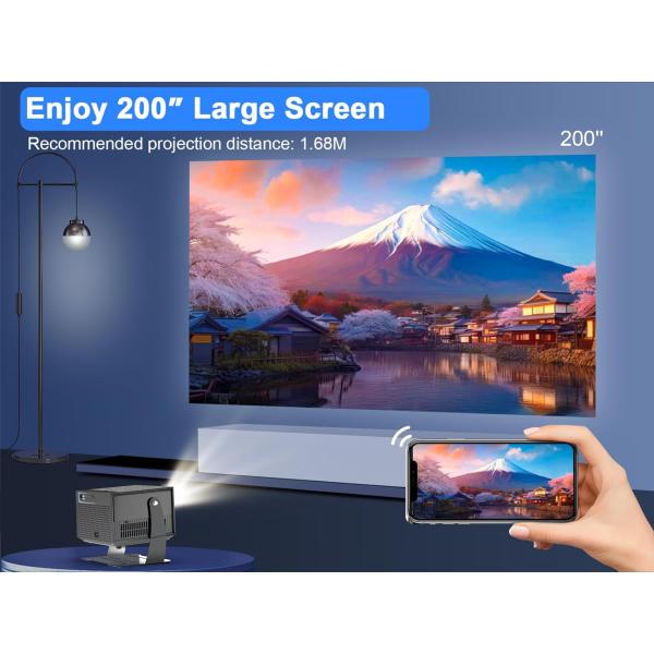 Projector connectivity ports and interfaces