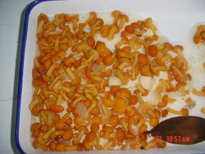 China Whole Nameko Mushroom Canning Fresh Vegetables In Jar Taste Salty Multi Size on sale