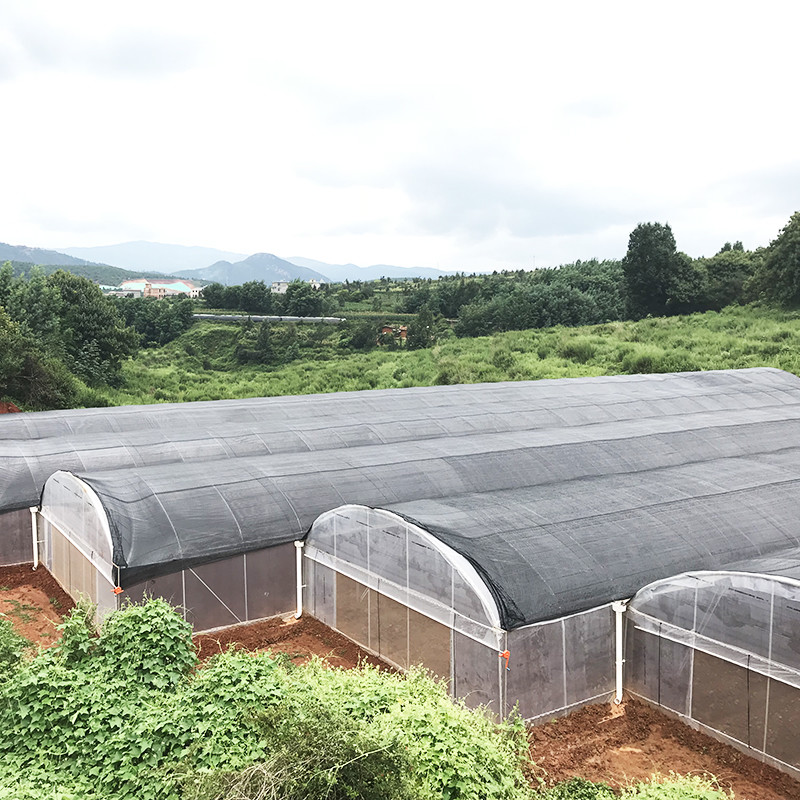 Low Tunnel Plastic Film Galvanized Steel Frame Structure Greenhouse For Sale