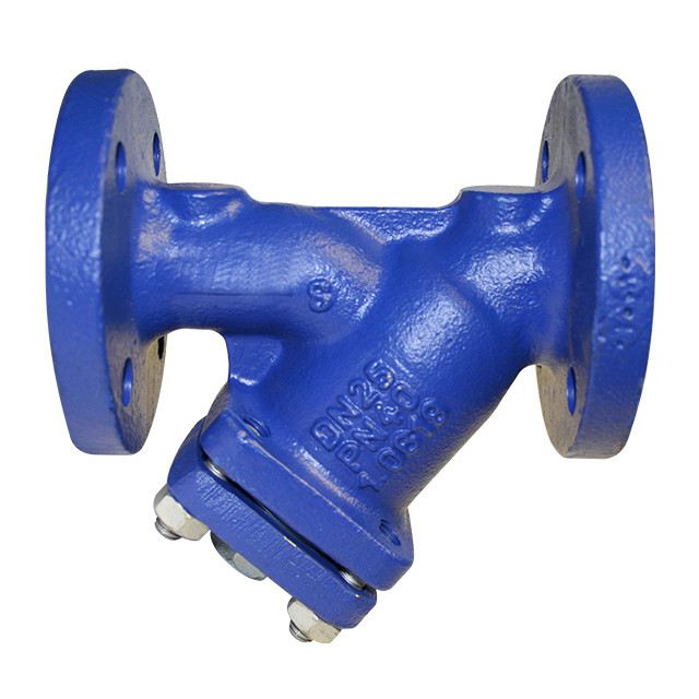 Y type strainer