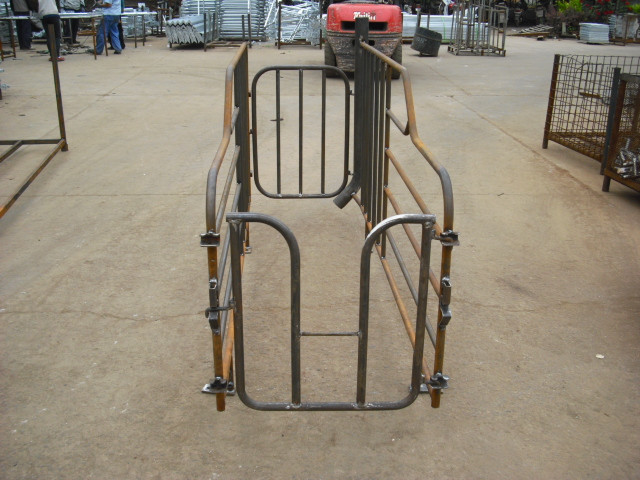 Heavy Duty Pig Farming Equipment , Durable Gestation Stalls For Sows