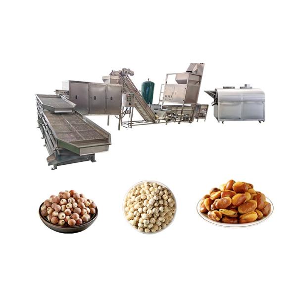 500KG 2000KG Continuous Peanut Cashew Nut Cocoa Bean Roasting Machine Soybean