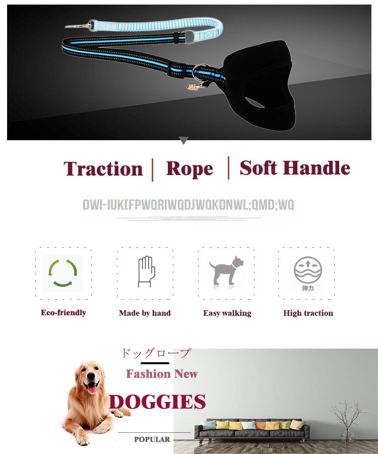 Fashion Custom Bungee Elastic Extended Retractable Nylon Braided Rope Dog Leash