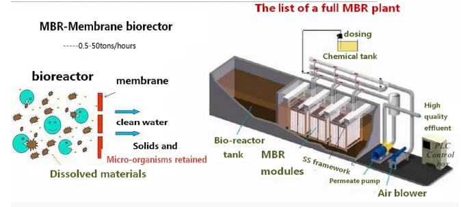 3000L/Hour Productivity Aquaculture Sewage Purification MBR Integrated Equipment Design