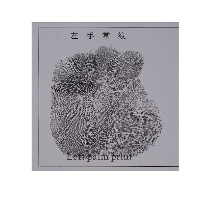 E007 BTNY-III High polymer palm print pad