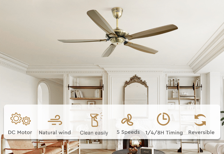 ceiling fan