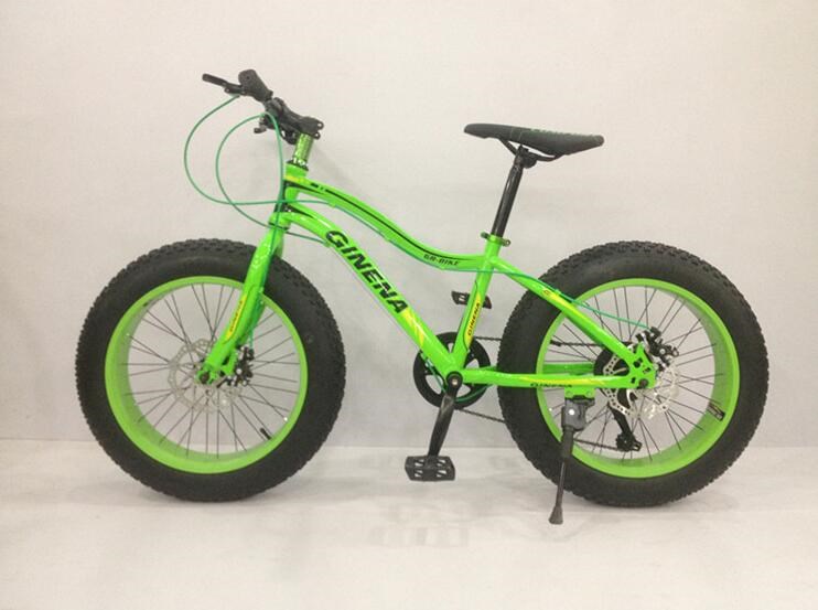 Private Label Snow Sand 4.0 Fat Tyre Electric Bicycle