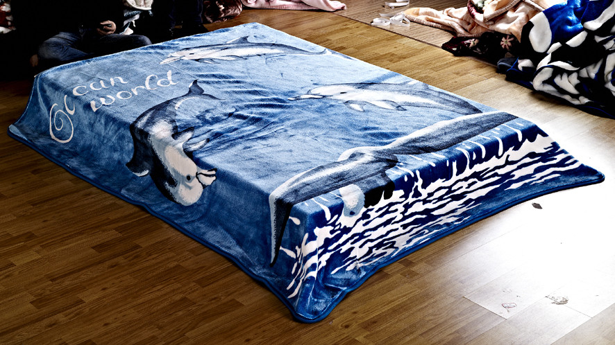 Blue Color Raschel Fleece Blanket Oblong Shaped 160x220cm 180x230cm Sizes