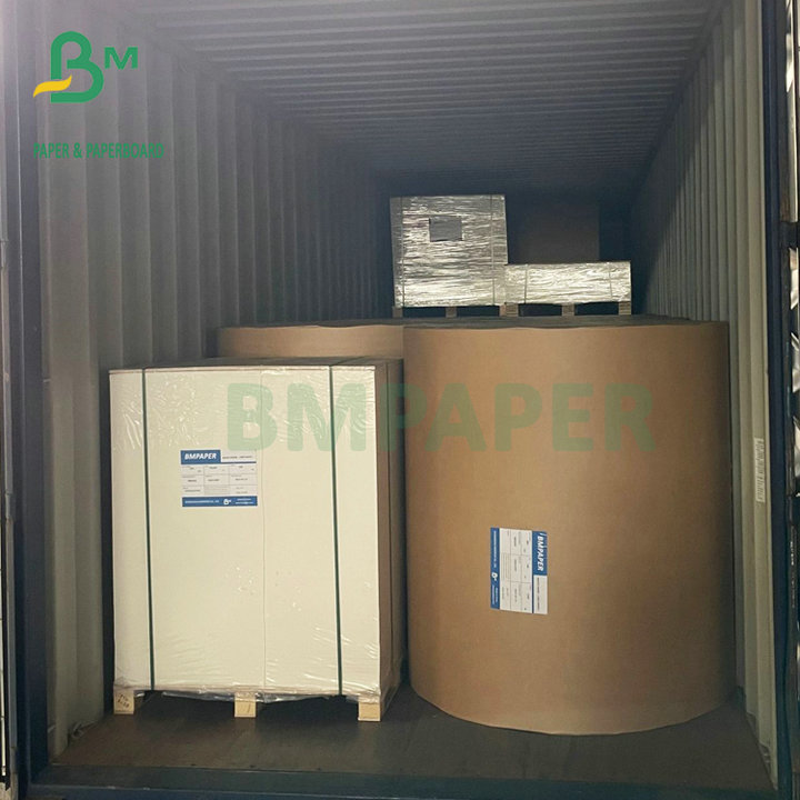 Strong Stiffness 300GSM 350GSM Ivory Board FBB Paper 72x102cm 