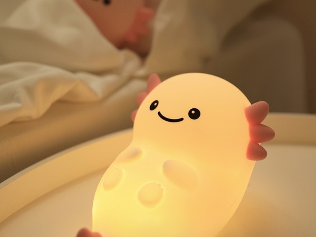 Customize Your Lighting With Adjustable Brightness Night Light 4H Charging Time