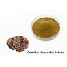 Buy cheap Strengthen Physique Brown Yellow Coriolus Versicolor Extract Powder from wholesalers