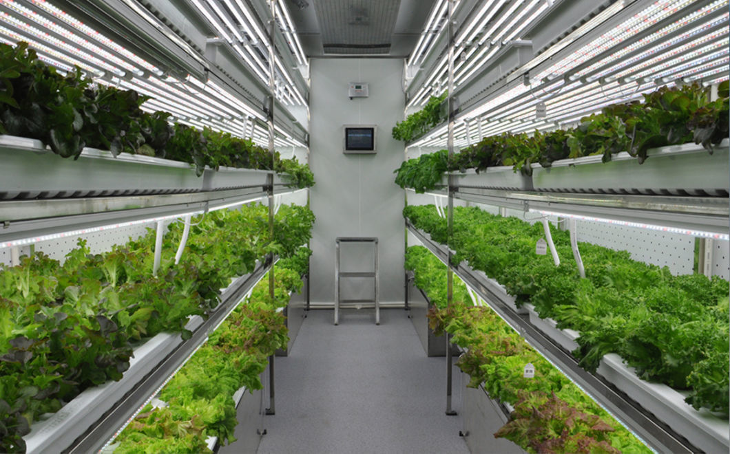 Juxiang OEM Living Vegetable Hydroponic Culture 100 Kg Daily Vegetable Growing Room Hydroponic Germination System Solar Energy