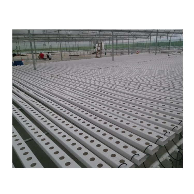 100mm*50mm Eco-friendly Plastic Tube for Hydroponic Vegetable Cultivation in Aquaponics