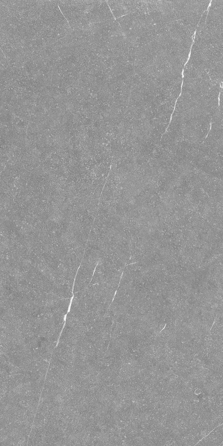 Dark Tile Floor Trending Large Format Cement Grey Concrete Look Matte Finish Porcelain Tile 60*120cm