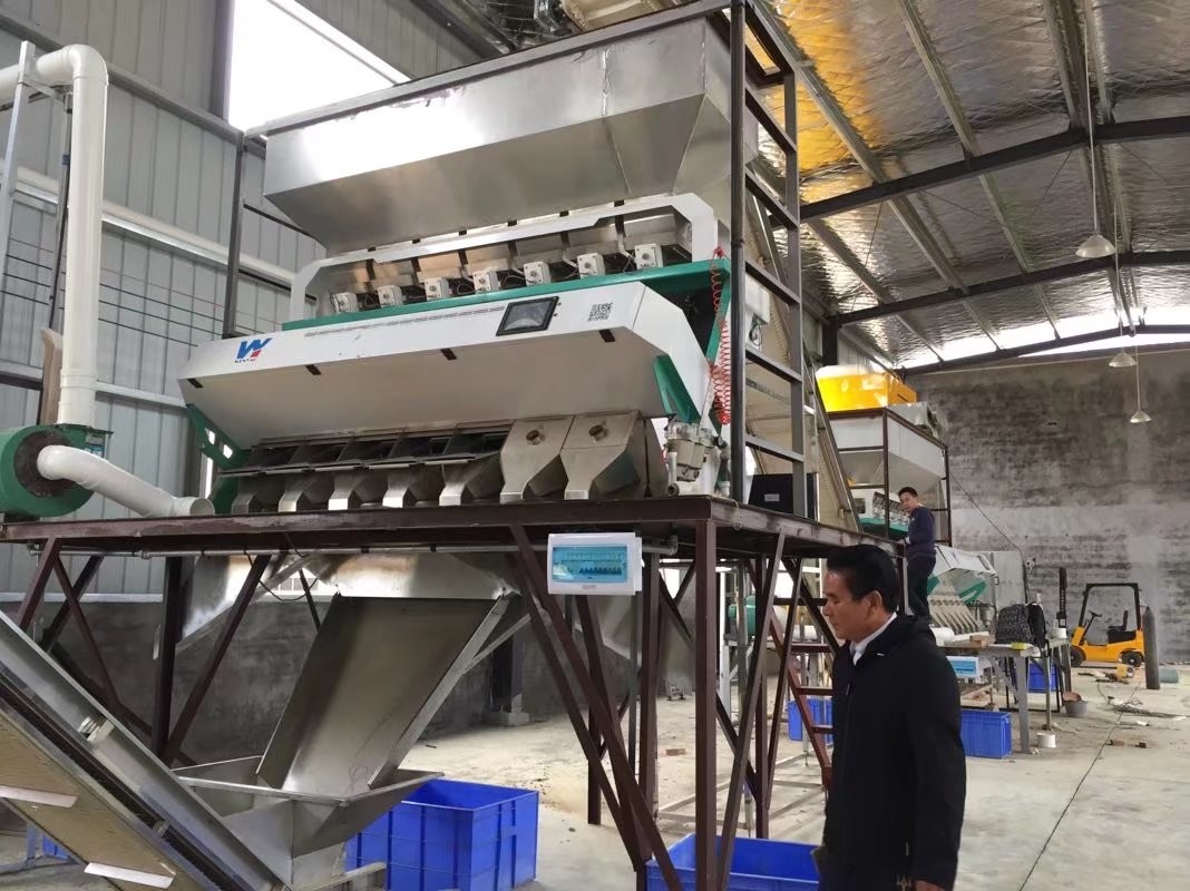 2022 Latest High Quality Grain Color Sorter wiht 8 Chutes 512 Channels Hot in Brazil