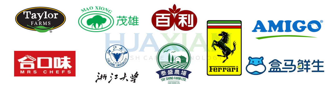 Reliable Seafood Ice Plant Equipment for Port, Block Ice Making Machine for Harbour