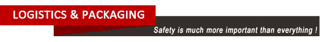 Duplex Eye - Eye Polyester Flat Webbing Sling Flat Woven Industrial Lifting Webbing Sling Belt
