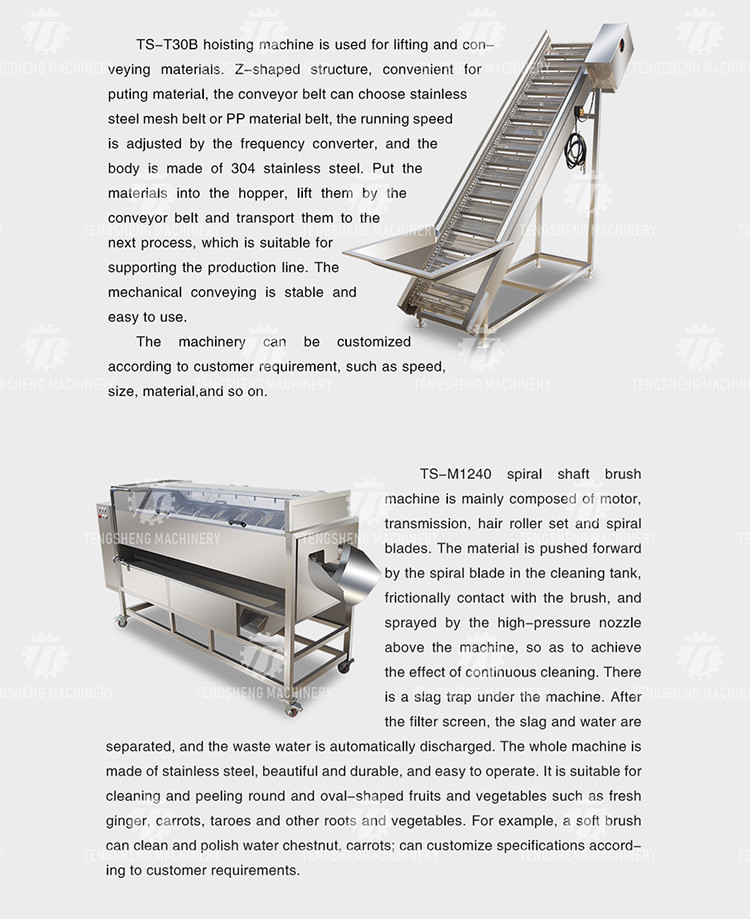 380V Fruit And Vegetable Processing Line Sweet Potato Picking Hair Roller Bubble Cleaning Drying Cutting Machine