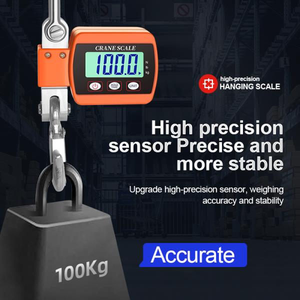 500 kg/300 kg Capacity Portable Digital Crane Scale LED LCD Display for Farm Hunting Fishing Outdoor OEM/ODM Supported