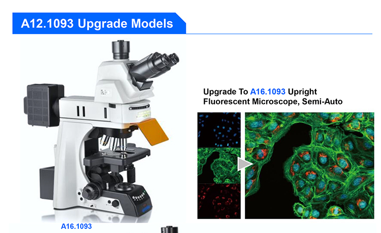 OPTO-EDU A12.1091-H Manual Research 25mm Science Lab Microscope