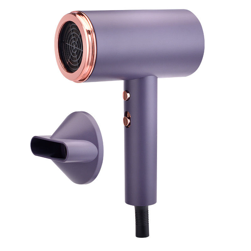 DC Motor Plastic Ionic Function Hair Dryer With Ergonomic Handle