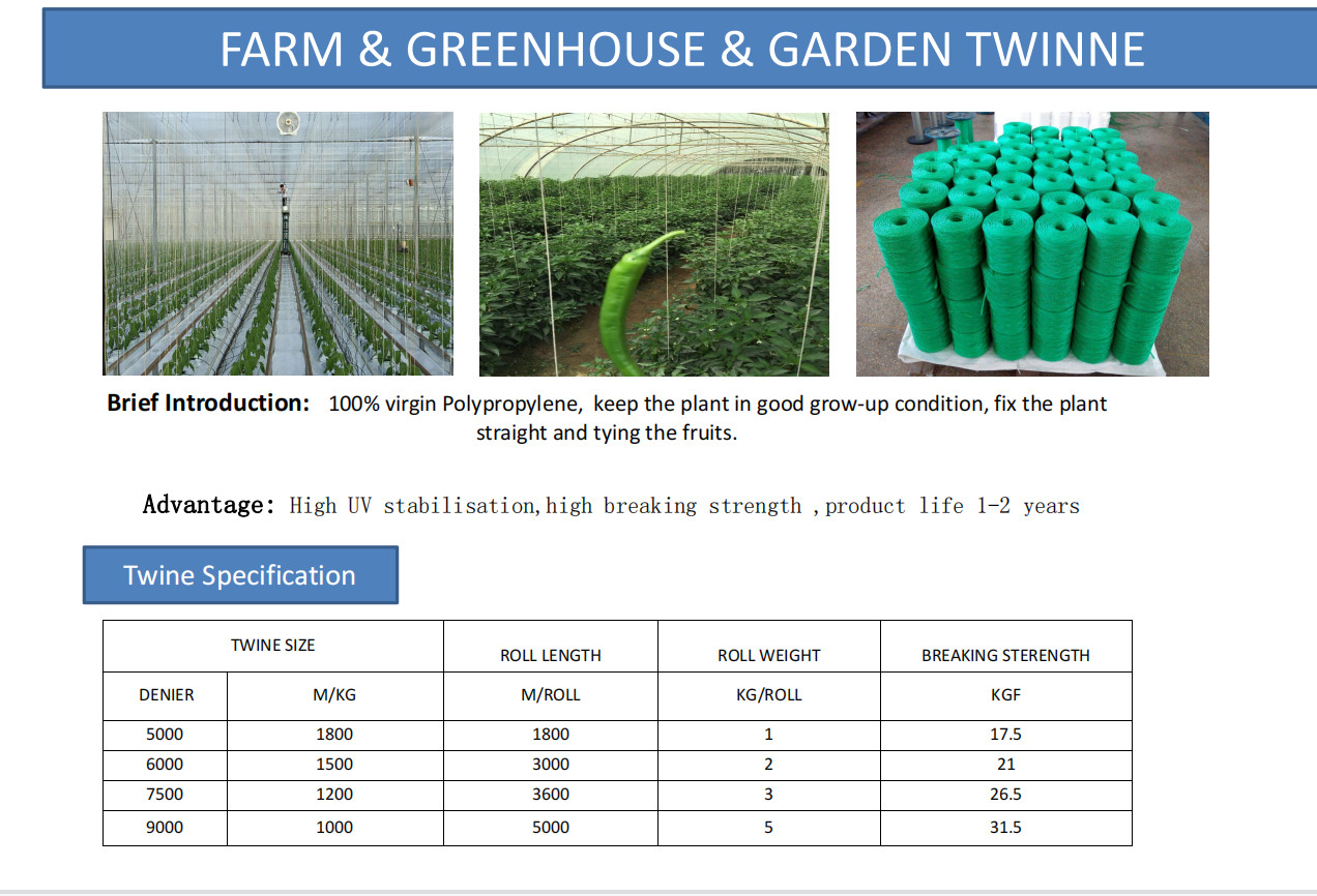 1mm 1000m/Kg PP Tomato Raffia String Twine for tying plants polypropilen