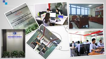 Global Link Logistics Ltd.