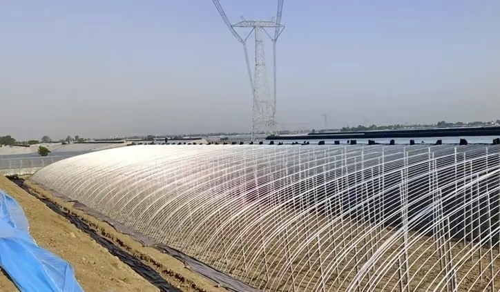 Aquaponics Sunlight Greenhouse