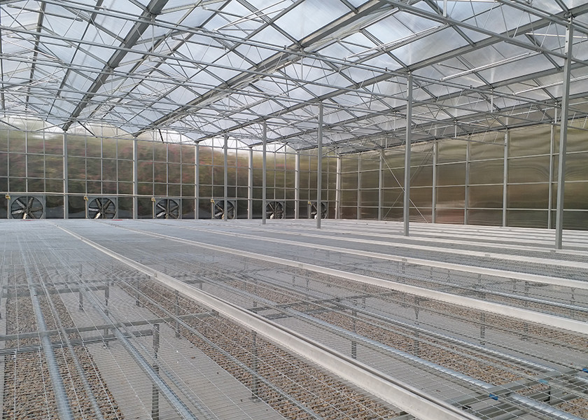 High Transparency & Durable PC Material, Spacious Interior PC Greenhouse - Ideal For Year Round Plant Cultivation