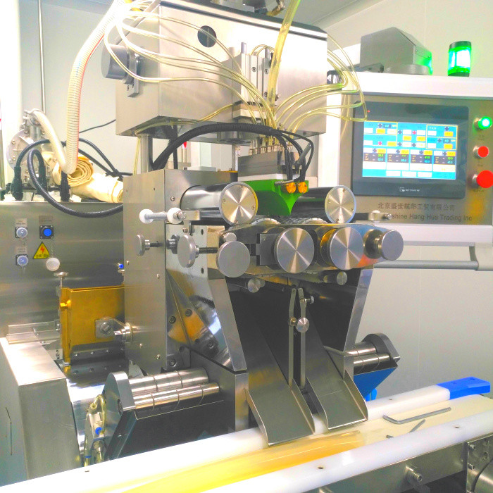 Ss316 Fish Oil / Vitamin Oil Soft Gelatin Capsule Machine