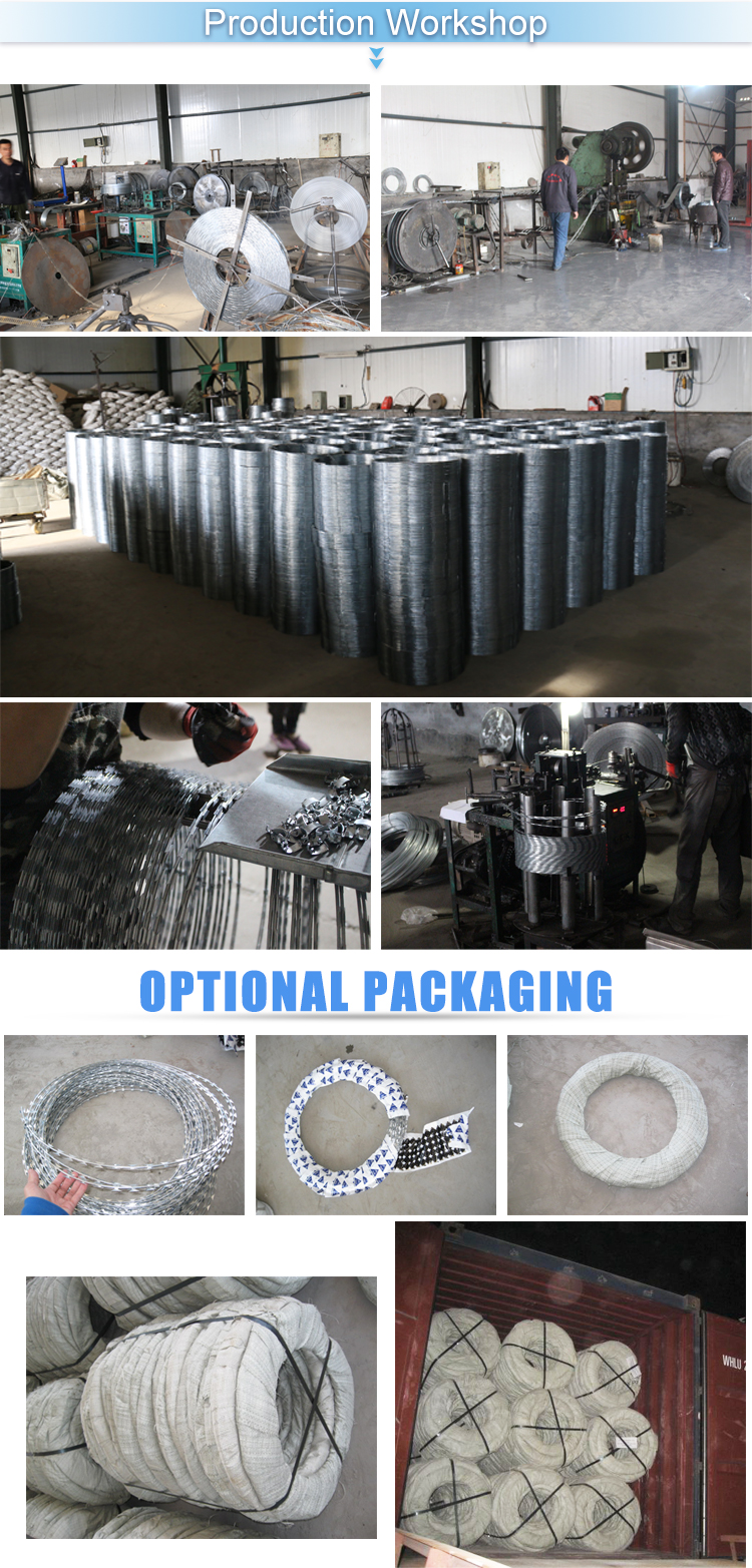 Free Sample Galvanized Concertina Razor Wire Price