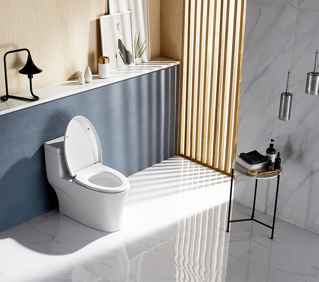 Sanitary Ware One Piece Toilets , Soft Closed Dual Flush S Trap Wc