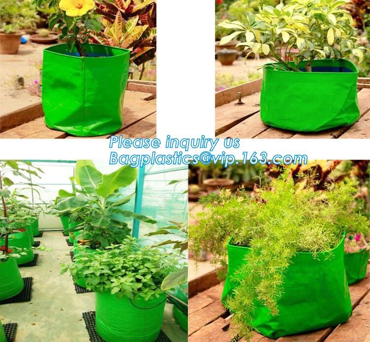 Nine pockets cheap vegetable grow planter bag,china manufacture riptop waterproof nursery bag,planting potato grow bag