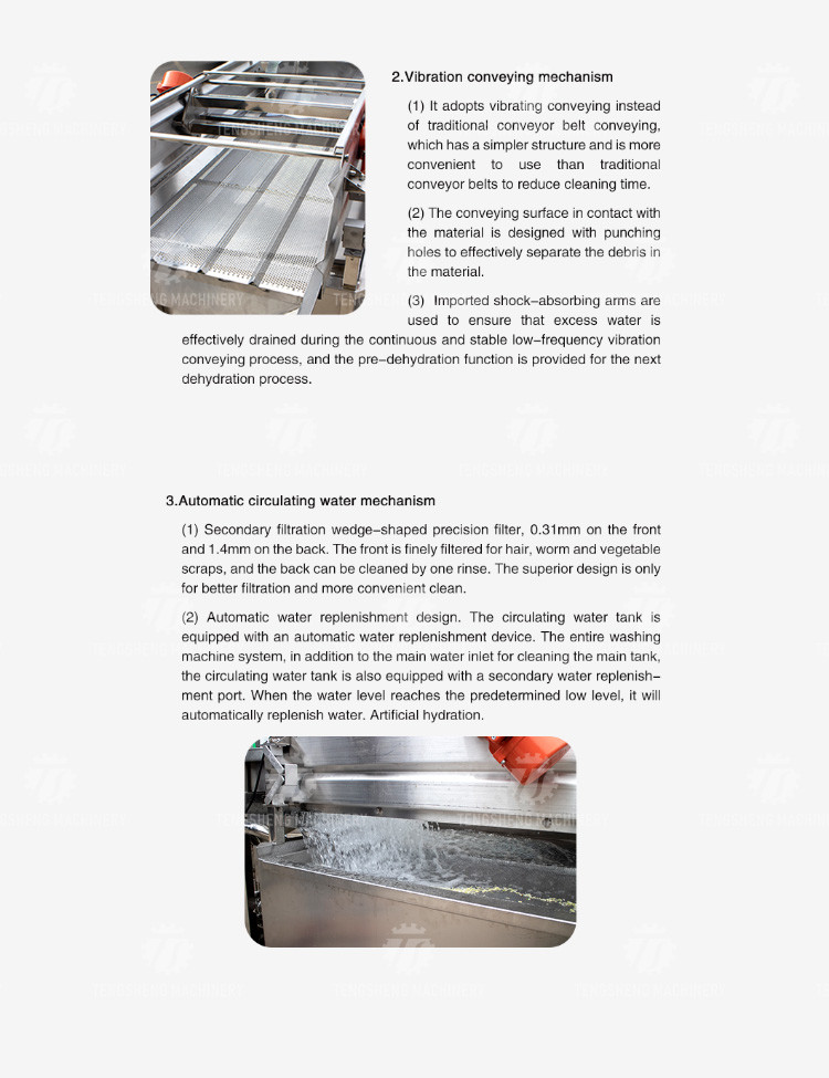 1000KG/H Automatic eddy current washing machine Fruit and vegetable vortex bubble cleaning vibration drainer