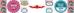 Fineyell Co.,Ltd Certifications