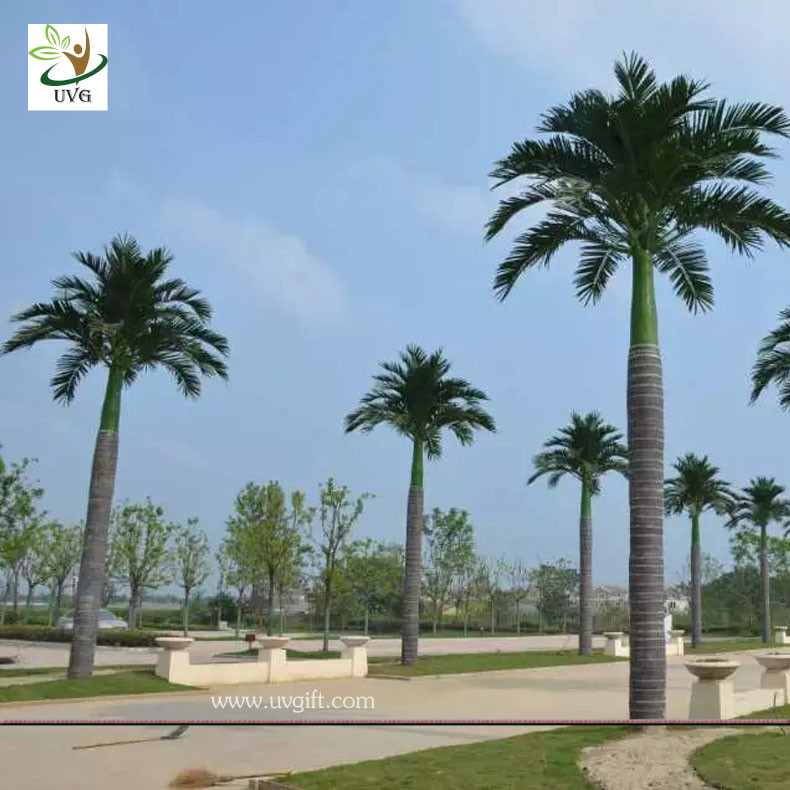 UVG evergreen artificial coconut palm trees with silk leaves for outdoor theme park landscaping PTR059