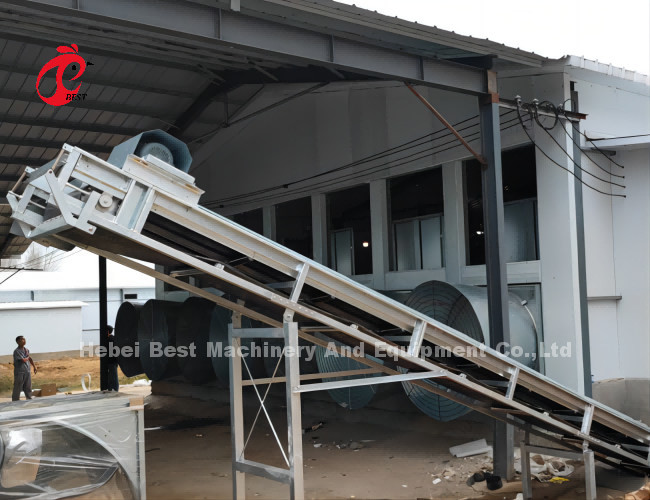 Automatic Poultry Egg Chicken Battery Laying Cage A Type Rose