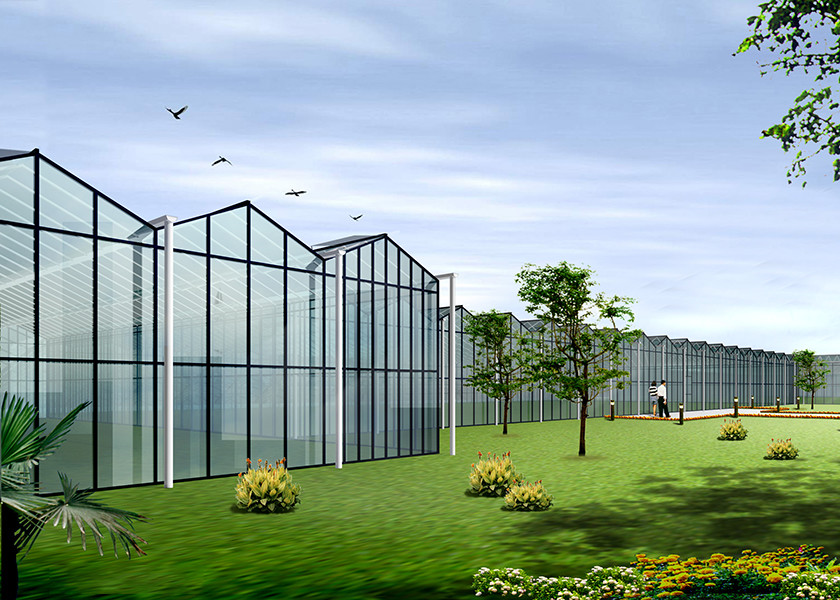 Sturdy Structure, Adjustable Climate VENLO Glass Greenhouses For Strawberry & Flower Cultivation