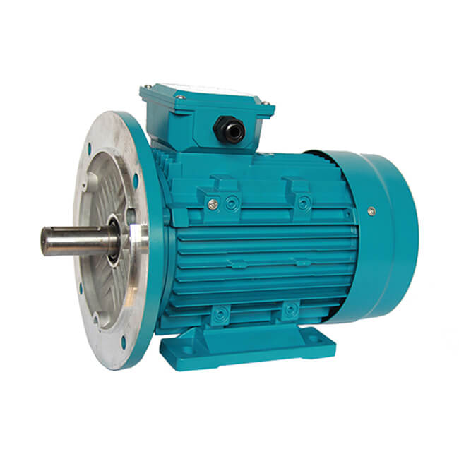 three phase electric motor