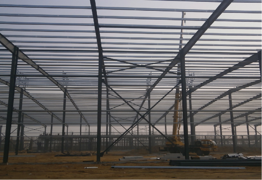Low Carbon Steel Frame Warehouse Storage Food Plant Sustainable Steel Buildings